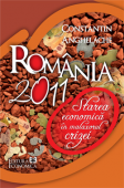 România 2011: starea economică în malaxorul crizei