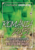 România 2013: starea economică sub povara efectelor crizei