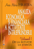 Analiza economică și financiară a activității întreprinderii: de la intuiție la știință, volumul 1 de Anca Maria Hristea