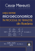 Unele repere microeconomice în procesul de tranziție din România de Cezar Mereuţă