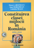 Constituirea clasei mijlocii în România, ediția a II-a de Maria Larionescu, Ioan Marginean, Gabriela Neagu