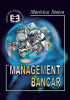 Management bancar de Maricica Stoica