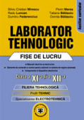 Laborator tehnologic: fișe de lucru, clasa a XI-a și a XII-a