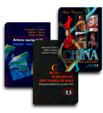 Pachet: China, Drumul mătăsii în secolul XXI, artera navigabilă Dunăre - Main - Rhin