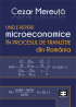 Unele repere microeconomice în procesul de tranziție din România