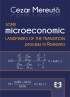 Some microeconomic landmarks of the transition process in Romania