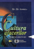 Cultura afacerilor: modelul american